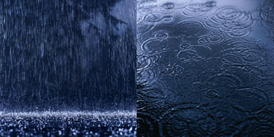 20080110164524-chove.jpg