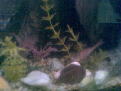 20080303095005-imagen030.jpg