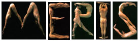 20080404180955-meris.jpg
